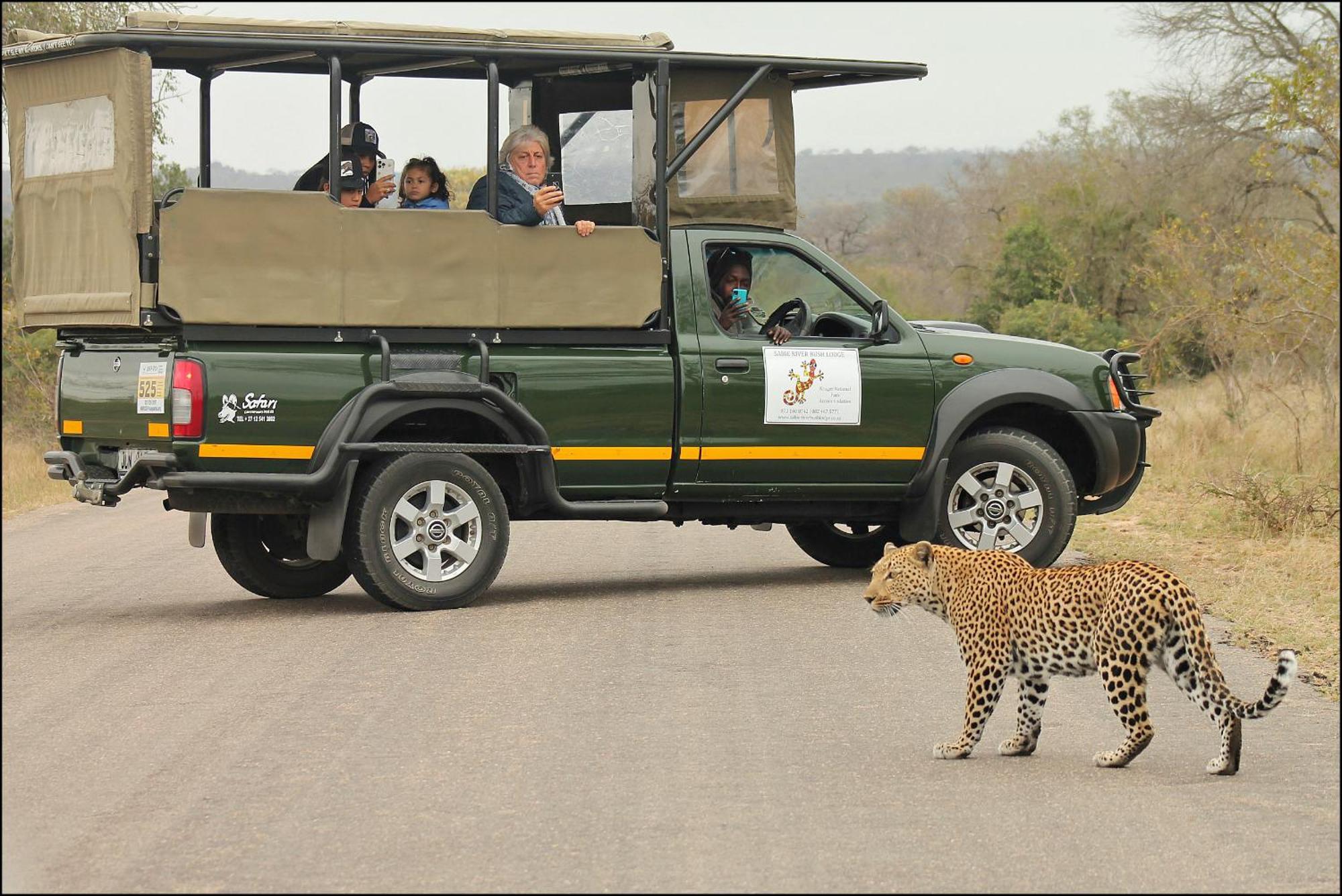 Sabie River Bush Lodge Hazyview Eksteriør billede